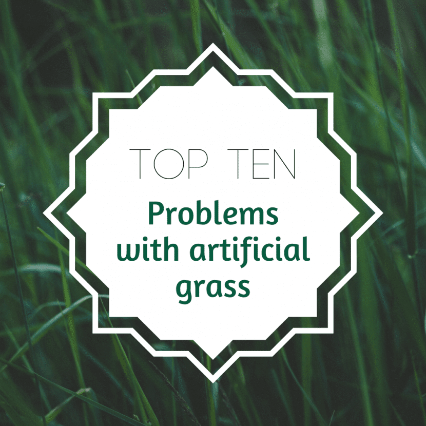 Blog Thumbnail: Top Ten Problems with Artificial Grass
