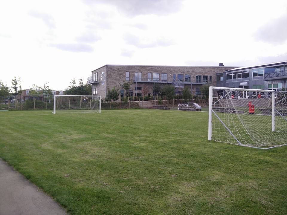 Patchy grass football field before hybrid grass installation