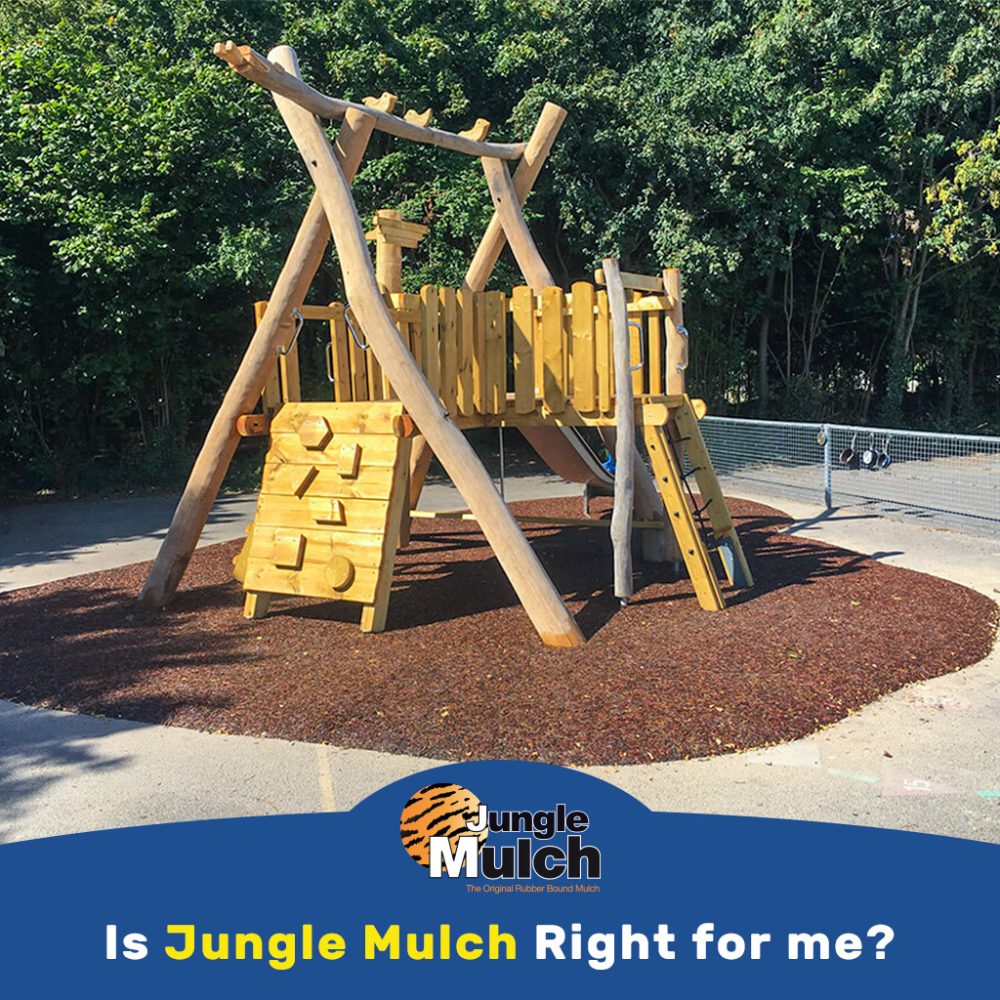 Blog Thumbnail: Is JungleMulch Right for Me?