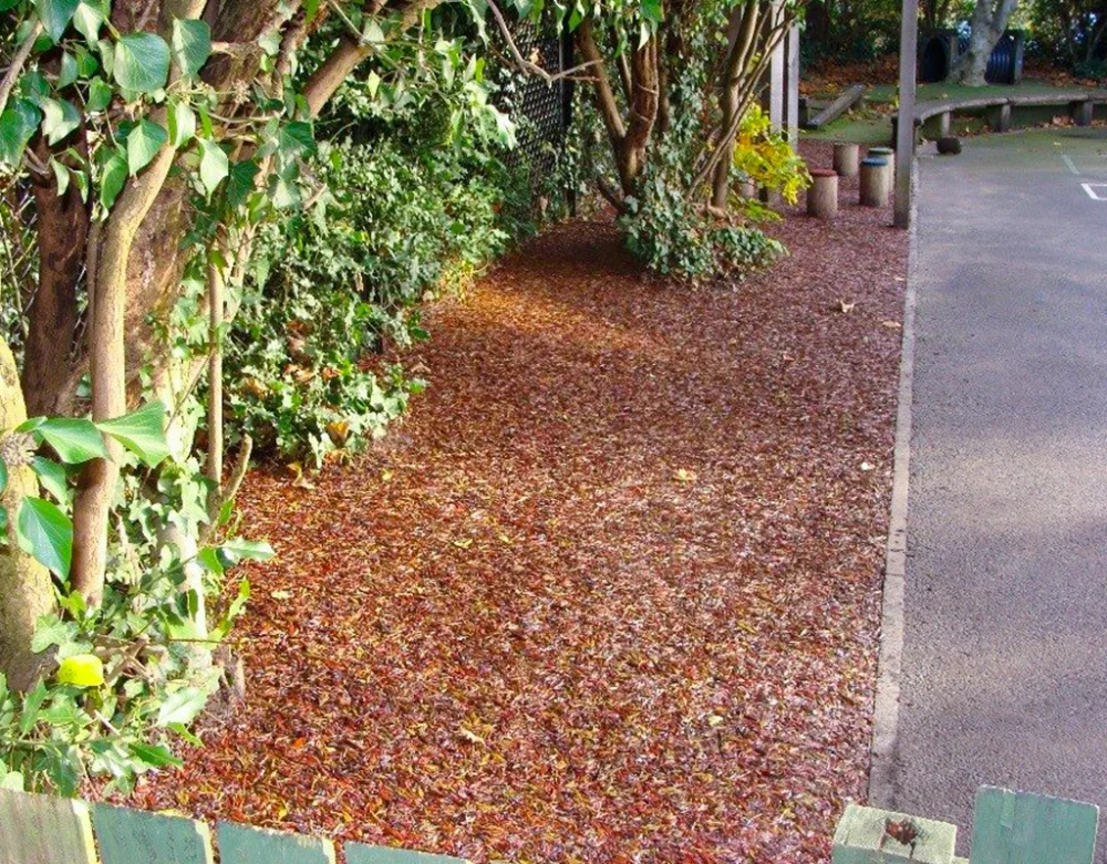Red Jungle Mulch rubber mulch flooring installed around tree trunks next to a pathway