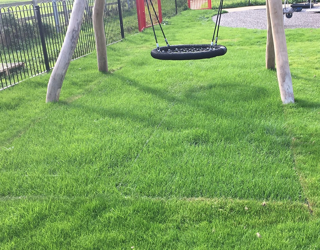 EcoSmart installed to Protect Grass under wooden playground equipment with grass grown through