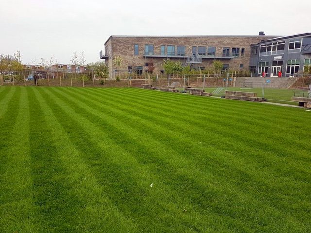 Hybrid Grass | Striped School Field Striped Hybrid Grass field at school