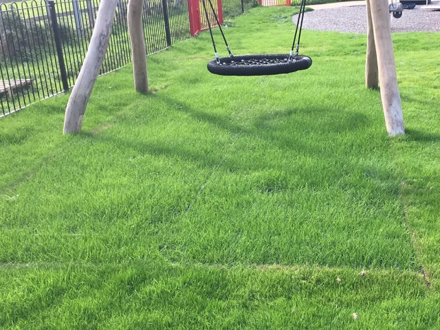EcoSmart Grass Mats- Post-grass Growth Grass mat under wooden playground equipment with grass grown through