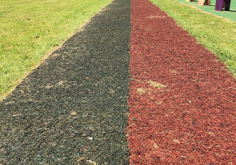 Red and Black JungleMulch running track