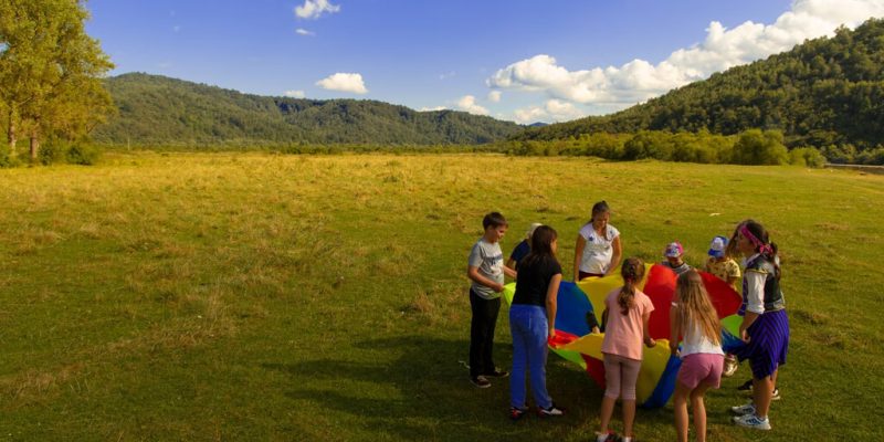 Free Play in an open field